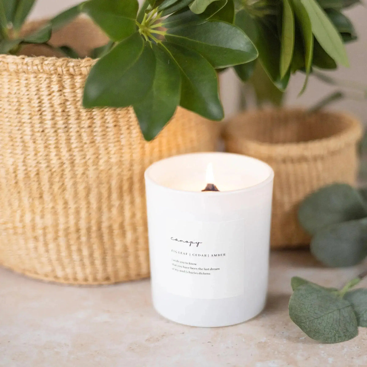 Moonlight  Wooden Wick Hand-Poured Soy Candle – Namai Home
